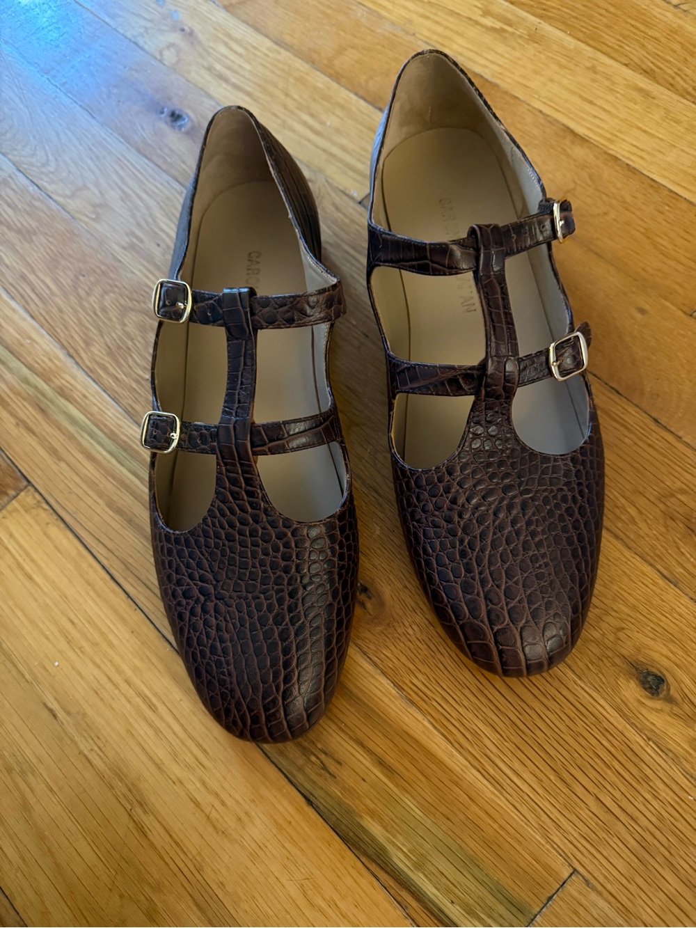 NWT Caron Callahan Alfie Flat - Chocolate Croc